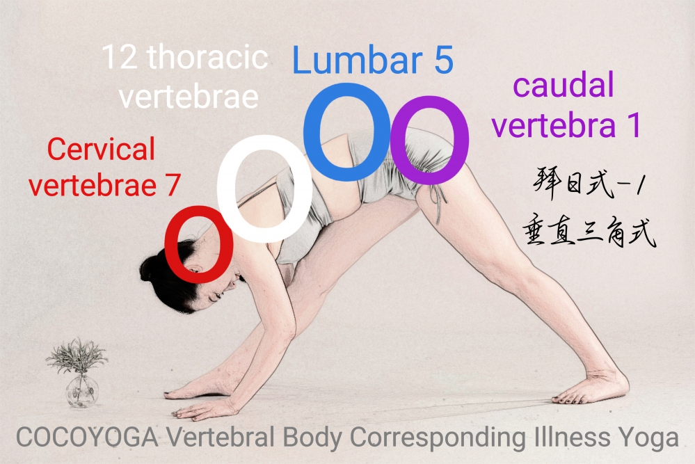 The second question of the vertebral body (the article is updated every Thursday #Corresponding dise