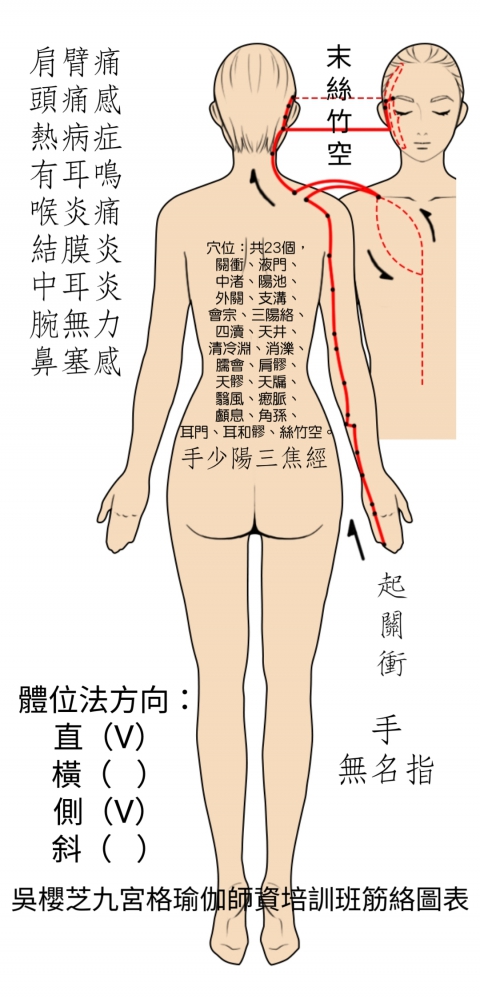 #手少陽三焦與體位法之相關聯：