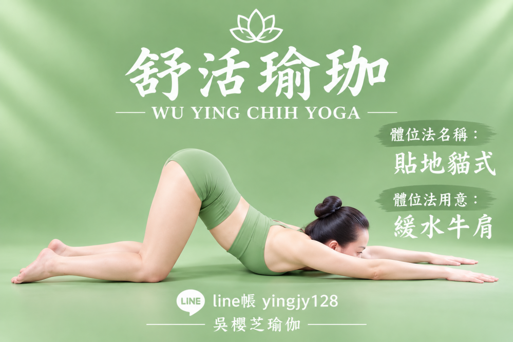 #瑜伽體位法：貼地貓式／#台中北屯瑜珈老師推薦 2026 #台中北屯瑜珈老師推薦 2026