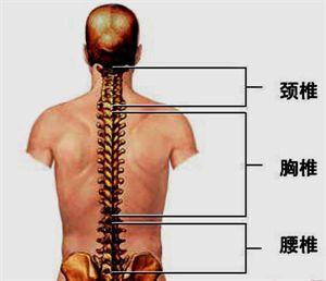 ＃養好椎體健康＝瑜珈課程練習＝台中西區教室＝台中瑜珈課程推薦