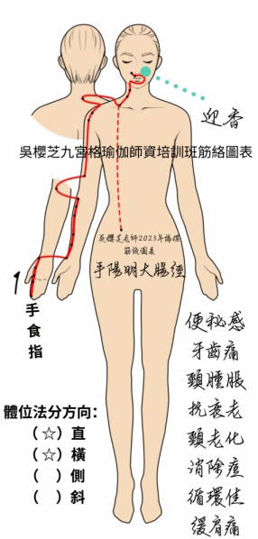 吳櫻芝九宮格瑜伽-手陽明大腸經-迎香穴與體位法相關聯