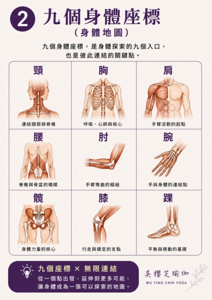 台中北屯瑜伽／九個身體部位 × 空間方向 × 動作探索